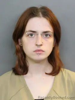 Mugshot of Marissa Nicole Perlman booked in Charlotte County, Florida on August 26, 2026