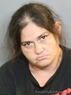 Mugshot of Megan Nicole Parbus booked in Charlotte County, Florida on August 22, 2026