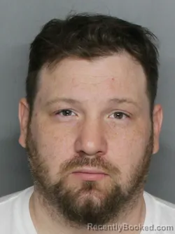 Mugshot of VINCENT IVAN PARLATO