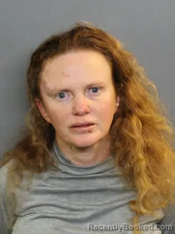 Mugshot of Bambi Gail Robinson booked in Charlotte County, Florida on October 5, 2026