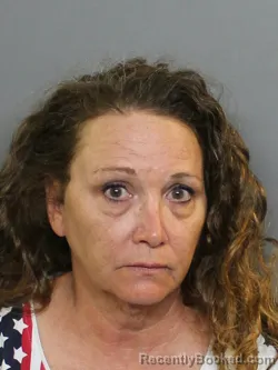 Mugshot of DIANE THERESA RAPPA booked in Charlotte County, Florida on July 4, 2026