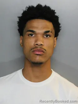 Mugshot of GEISE REYES DEL VERSO booked in Charlotte County, Florida on April 5, 2026