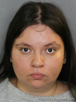 Mugshot of HELEN RODRIGUEZ CARRILLO booked in Charlotte County, Florida on April 29, 2026