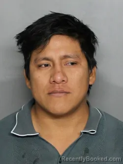 Mugshot of JOSE D RAMOS DOMINGO