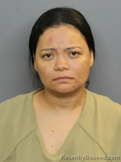 Mugshot of JESSICA PETRONA ROMERO-GONZALES booked in Charlotte County, Florida on July 26, 2026