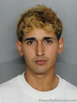 Mugshot of JENRRY SADRAC RAMIREZ MARTINEZ