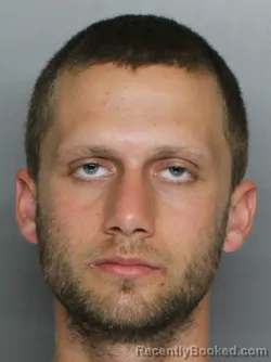 Mugshot of NATHAN ALLEN RAE