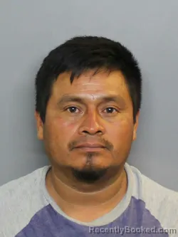 Mugshot of PEDRO RUIZ ALVARO booked in Charlotte County, Florida on June 29, 2026