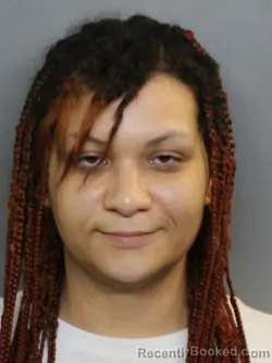 Mugshot of AITHANEY GLORIELLE SANTOS booked in Charlotte County, Florida on June 23, 2026