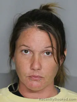 Mugshot of BRANDY LYNN SWARTZ