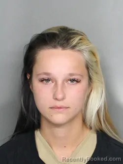 Mugshot of CALLISA SWANSON
