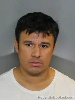 Mugshot of CARLOS ADOLFO SALINAS booked in Charlotte County, Florida on May 20, 2026