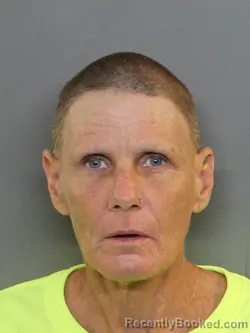 Mugshot of Deborah Barbara Shea booked in Charlotte County, Florida on August 20, 2026