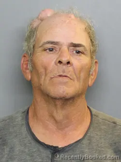 Mugshot of DWAYNE EARL SHIELDS booked in Charlotte County, Florida on June 27, 2026