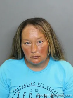 Mugshot of DENISE LYNN STANLEY booked in Charlotte County, Florida on June 11, 2026
