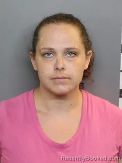 Mugshot of DANA MICHELLE SPRICH booked in Charlotte County, Florida on June 23, 2026