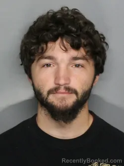 Mugshot of DYLAN THOMAS SHIPULESKI
