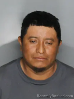 Mugshot of DIEGO TIMOTEO PACHECO SARAT