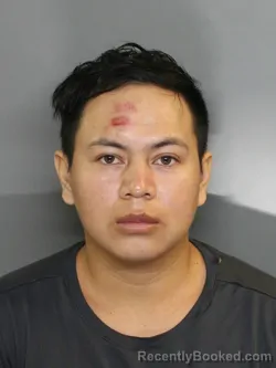 Mugshot of ELIAS SOSA HERNANDEZ booked in Charlotte County, Florida on May 14, 2026