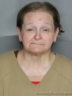 Mugshot of EMILY MARIE STURGIS