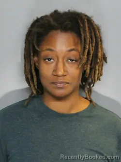 Mugshot of JUDITH FAY SNIPES booked in Charlotte County, Florida on April 8, 2026