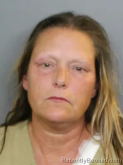 Mugshot of JEAN MORRISON STEVENS booked in Charlotte County, Florida on June 14, 2026