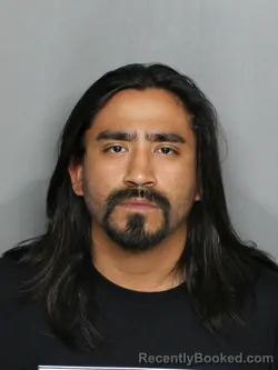 Mugshot of JOSUE ROJELIO SALZIDO