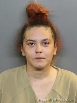 Mugshot of Mia Alexsandra Shinkarik booked in Charlotte County, Florida on October 2, 2026