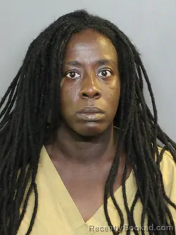 Mugshot of Naimah Louise Solis booked in Charlotte County, Florida on September 24, 2026