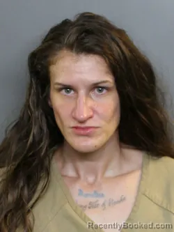 Mugshot of Rachel Dawn Searle booked in Charlotte County, Florida on August 23, 2026