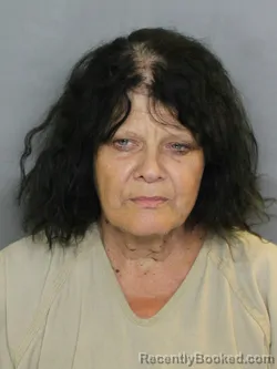 Mugshot of DEBORAH ANN VEADER booked in Charlotte County, Florida on May 3, 2026