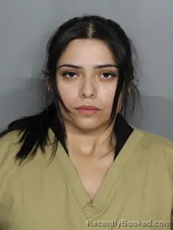 Mugshot of MIA ALLISON VENCES