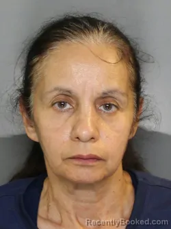 Mugshot of ROSANA VIEIRA MARTINS GOMES booked in Charlotte County, Florida on May 13, 2026