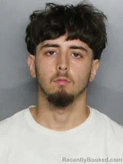 Mugshot of RAMON ERNESTO VARELA