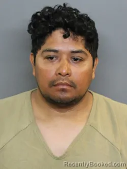 Mugshot of ROMEO GUADALUPE VIDAL PEREZ booked in Charlotte County, Florida on July 8, 2026