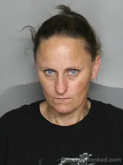 Mugshot of JESSICA NICOLE WRIGHT