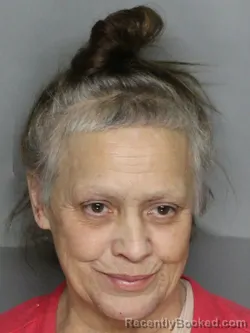 Mugshot of LAURA MARIE WILLIAMS