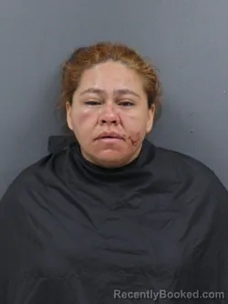 Mugshot of Evelyn Hernandez