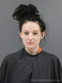 Mugshot of Shonna Lawyer