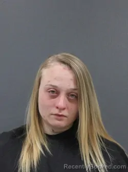 Mugshot of Danielle Ervin