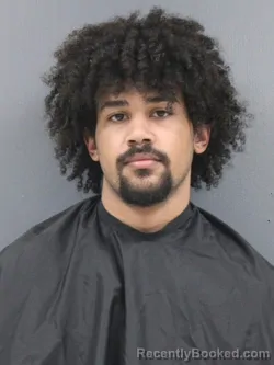 Mugshot of Charles Jr Willis