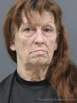 Mugshot of Cathy Dillenger