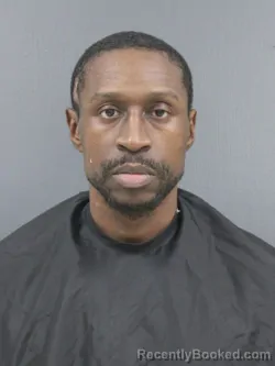 Mugshot of Jonathan Salvodon