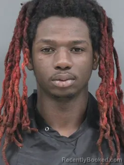 Mugshot of Genesis Robinson