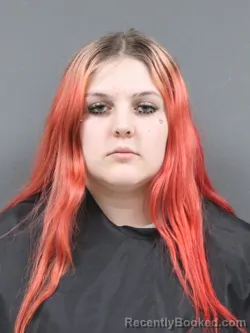 Mugshot of Destinie Williams booked in Cherokee County, South Carolina on April 11, 2026