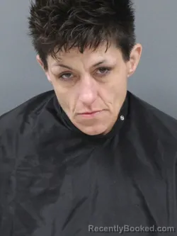 Mugshot of Lisa Collins booked in Cherokee County, South Carolina on April 11, 2026