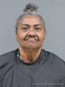Mugshot of Juanita Davis booked in Cherokee County, South Carolina on April 30, 2026