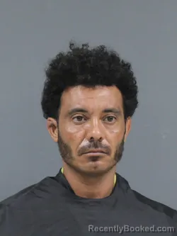 Mugshot of Joel Ramos booked in Cherokee County, South Carolina on June 13, 2026