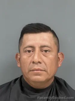 Mugshot of Fredy Oxlaj Pelico booked in Cherokee County, South Carolina on July 4, 2026