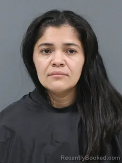 Mugshot of Kerly Rodriguez-Padilla booked in Cherokee County, South Carolina on July 17, 2026